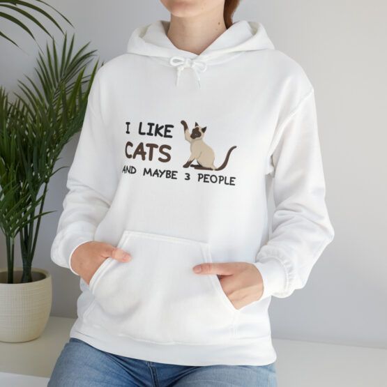 Hooded Sweatshirt I like cats and maybe 3 people